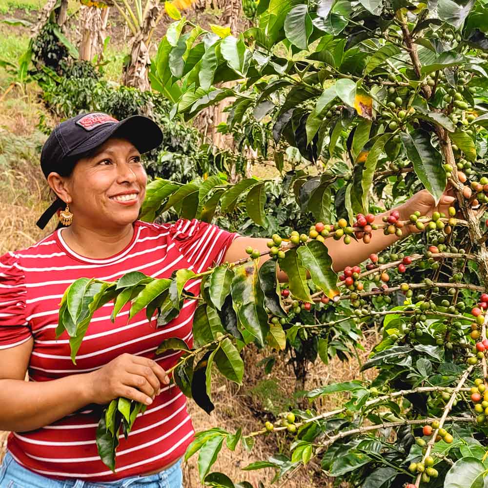 Colombia | Cauca | Women Growers&