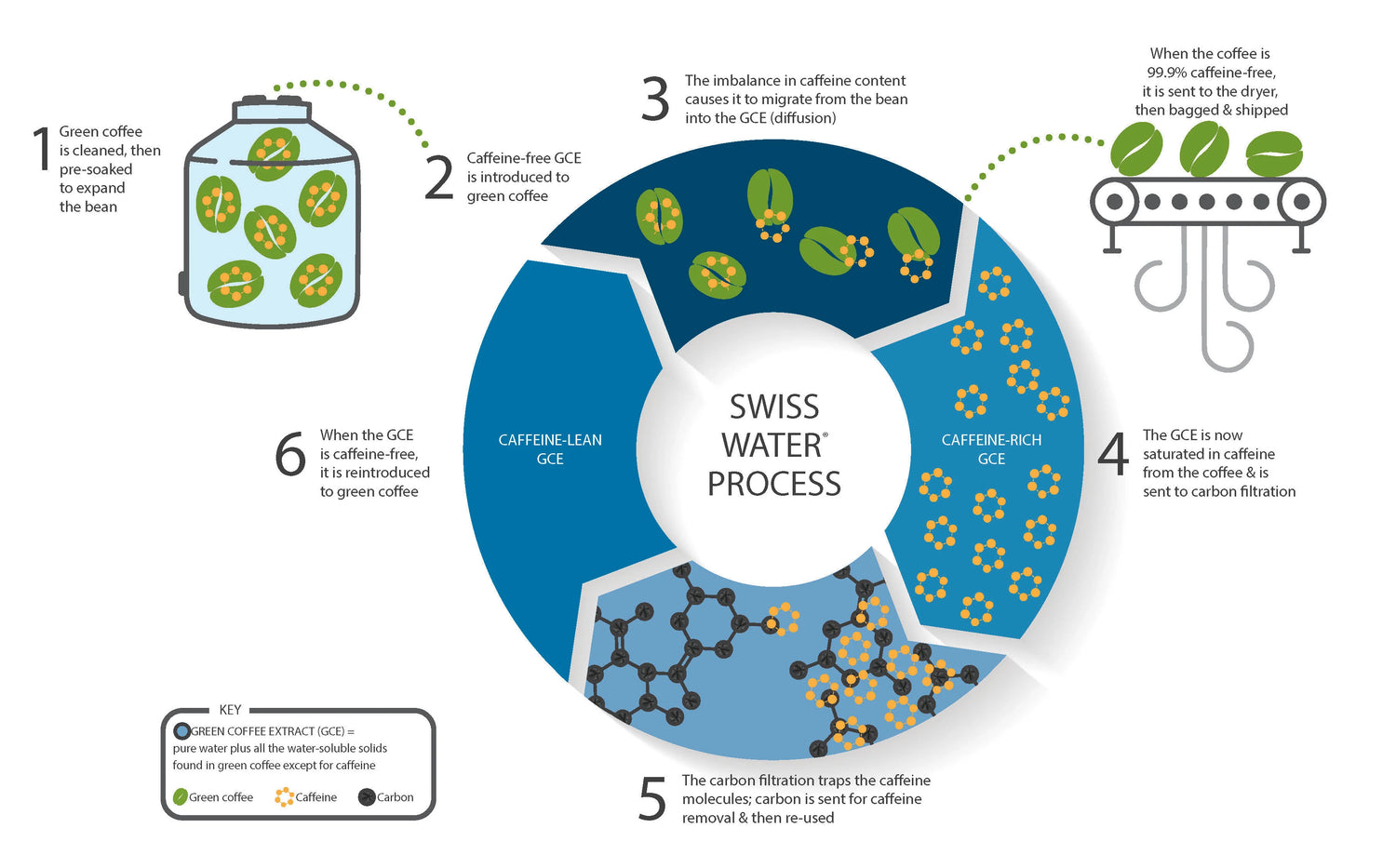 infographic about how caffeine is removed from coffee